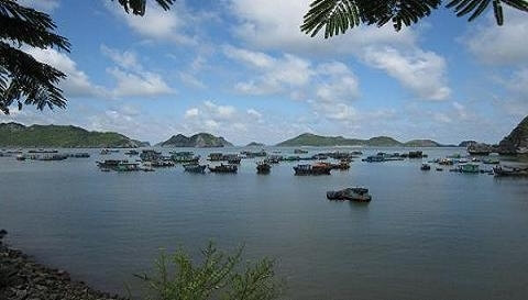 Cát Hải Hải Phòng